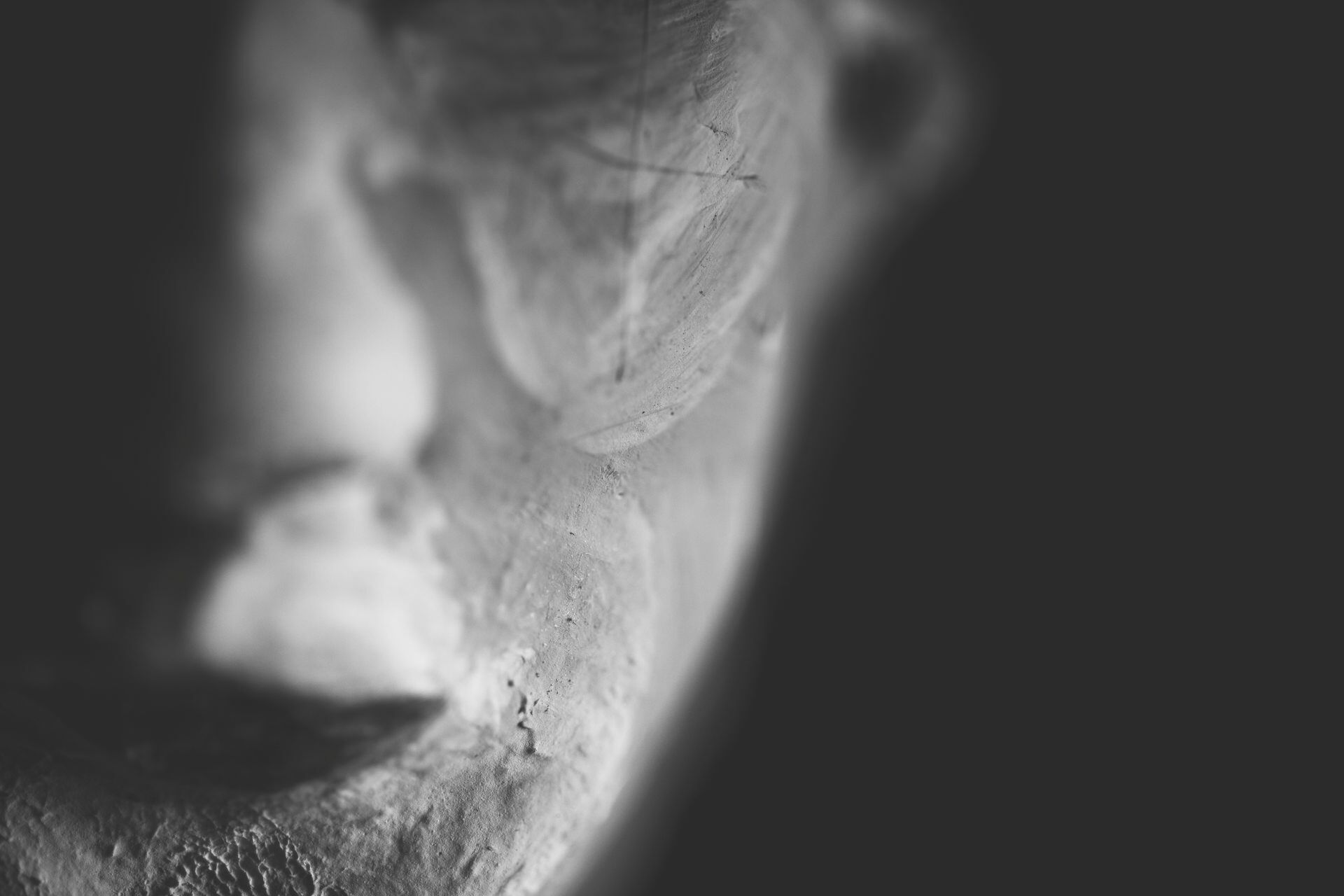 Work No 029 - digital photography 2021