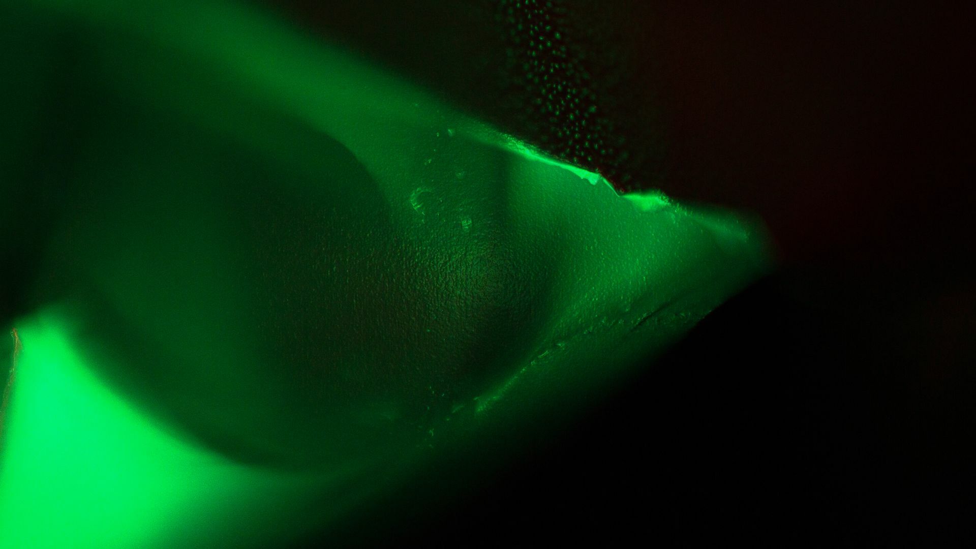 Work No 003 - digital photography 2020