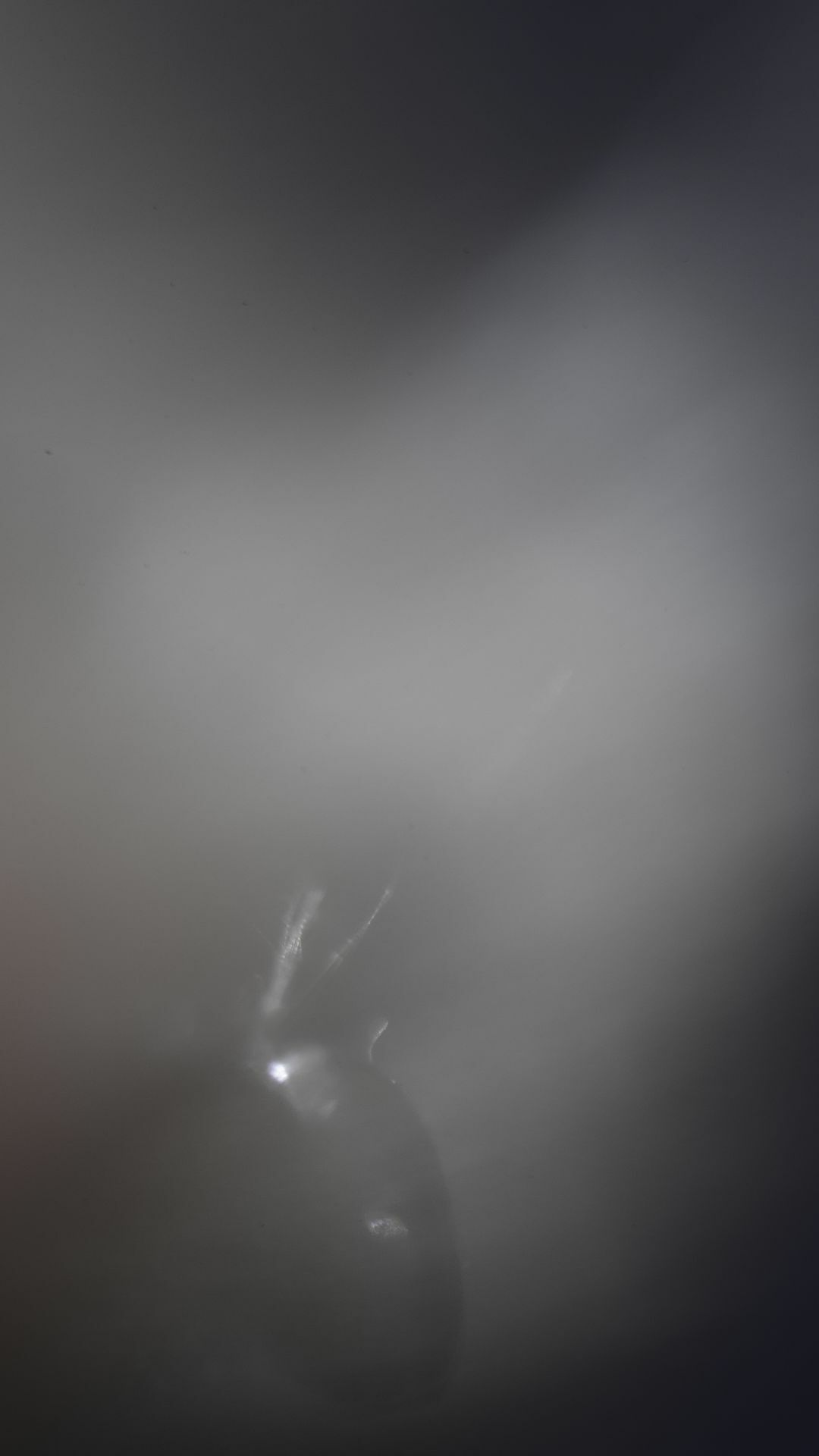 Work No 020 - digital photography 2016