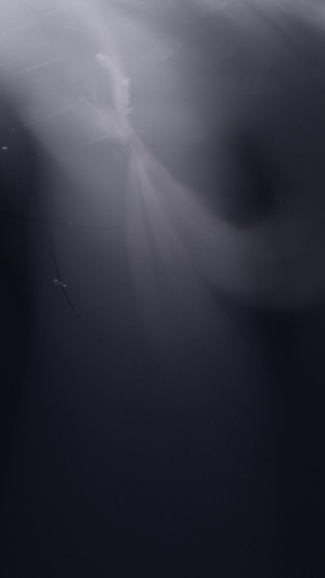 Work No 012 - digital photography 2020