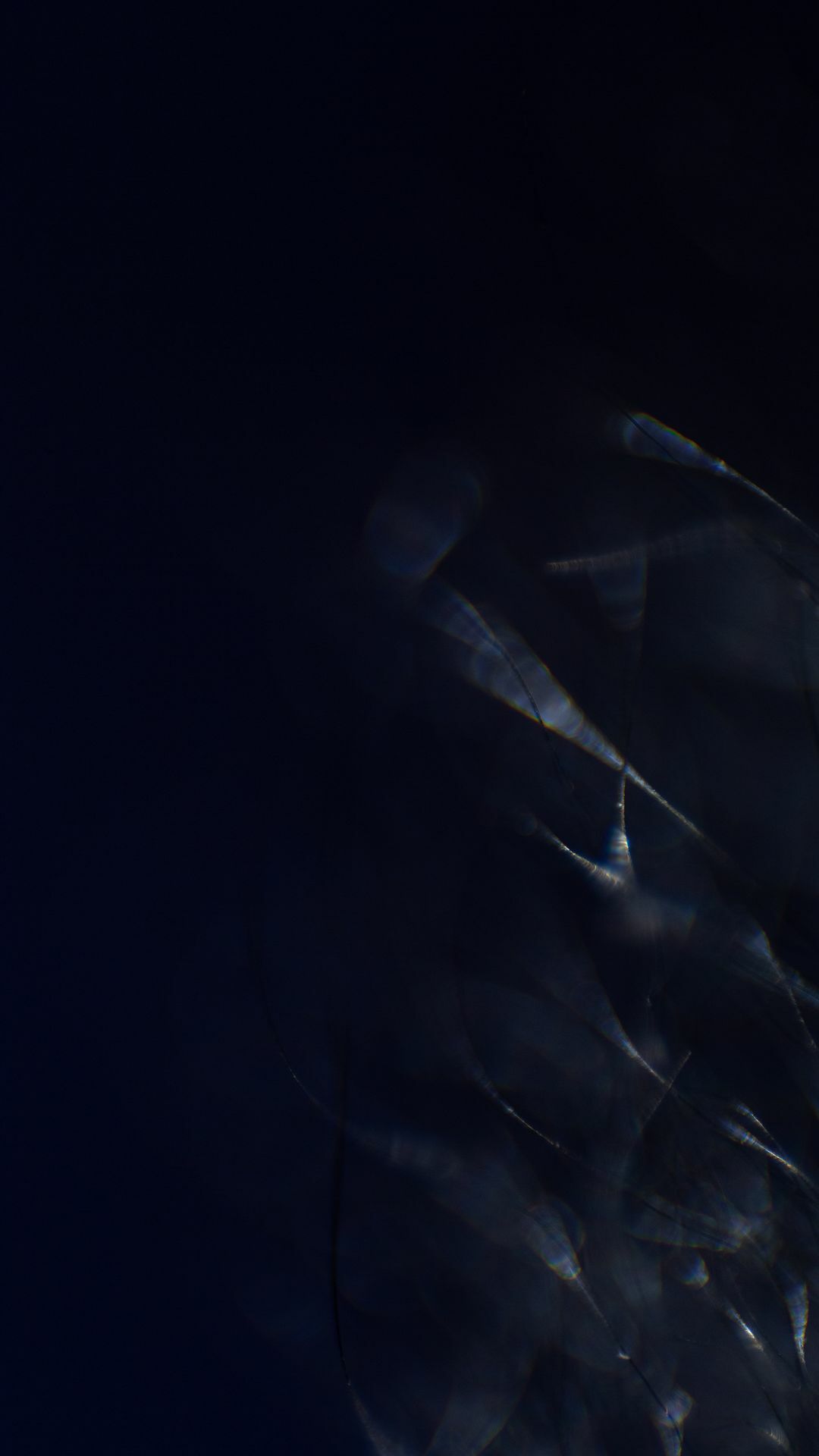 Work No 010 - digital photography 2019