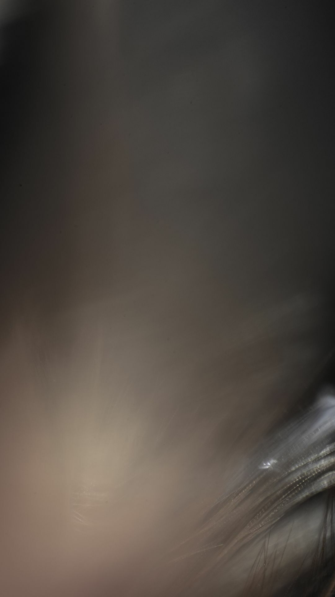 Work No 011 - digital photography 2019