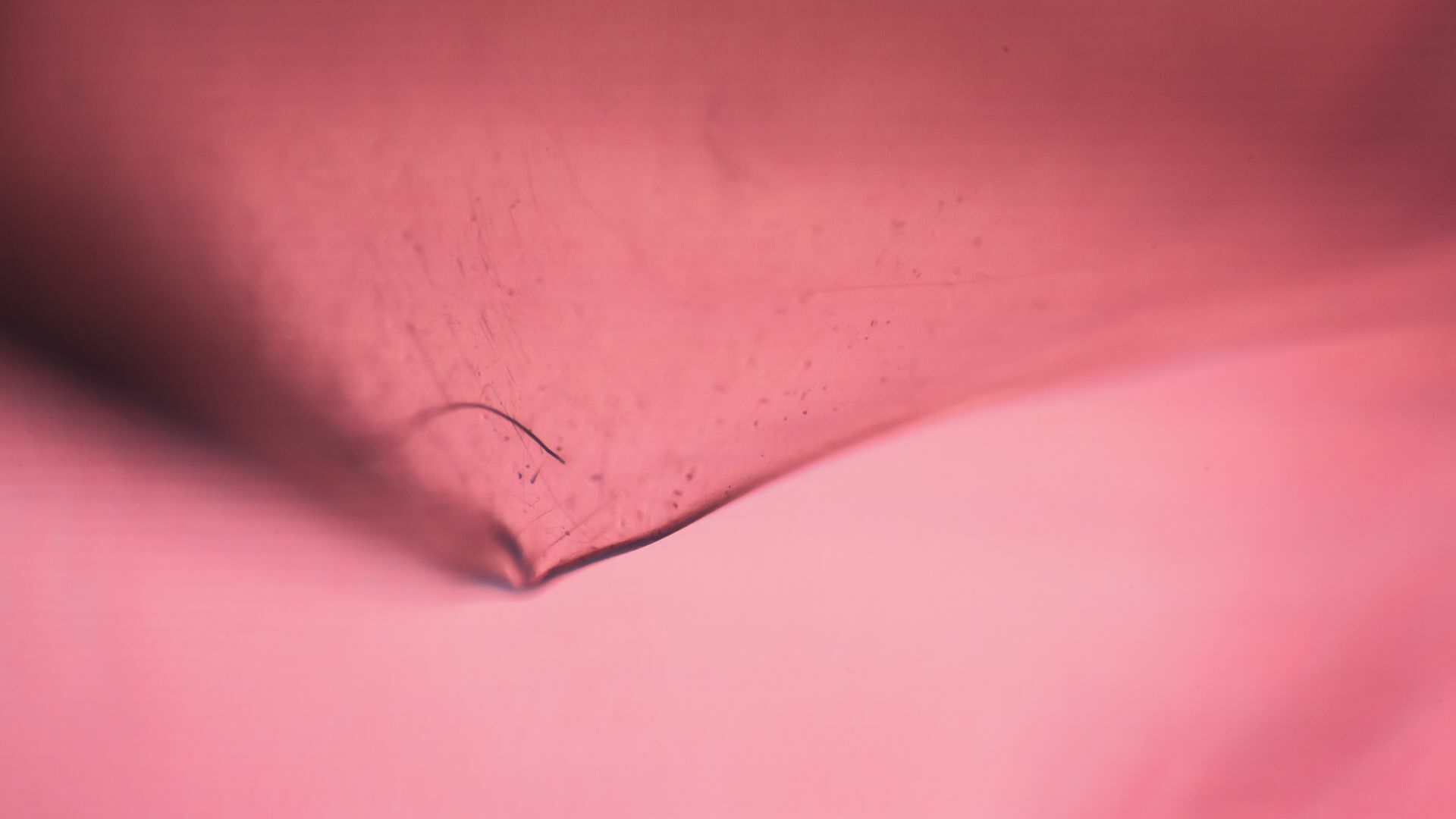 Work No 025 - digital photography 2020