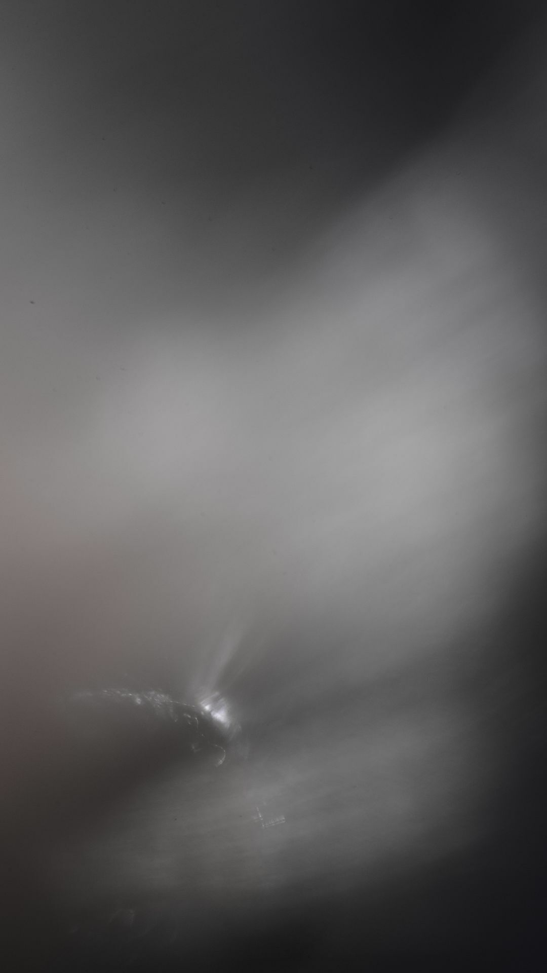 Work No 046 - digital photography 2019