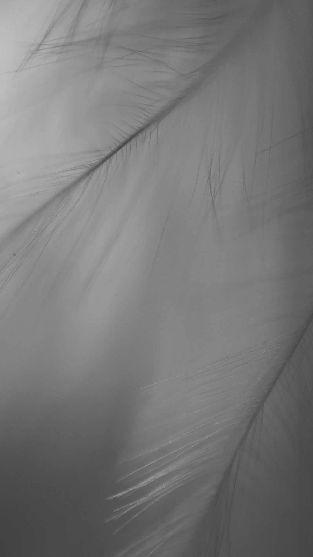 Work No 021 - digital photography 2016