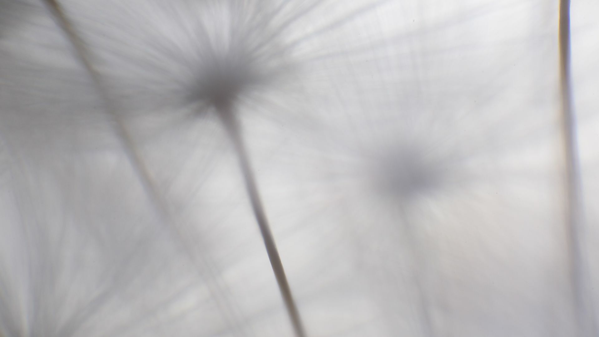 Work No 031 - digital photography 2022